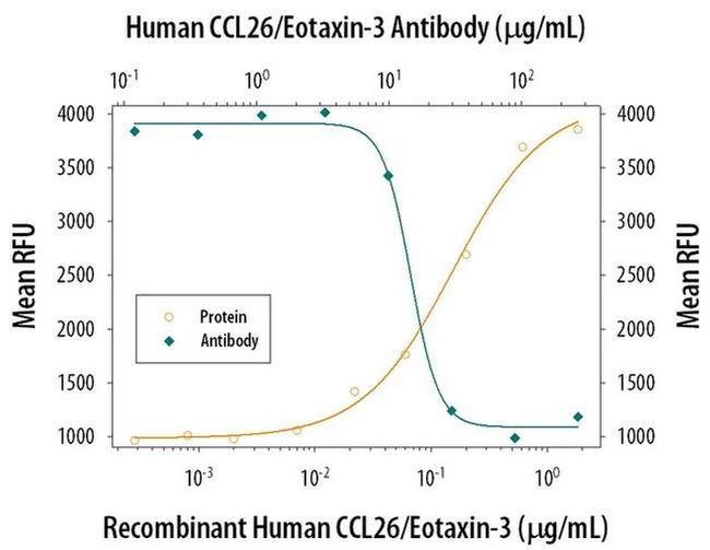 Eotaxin 3 Antibody