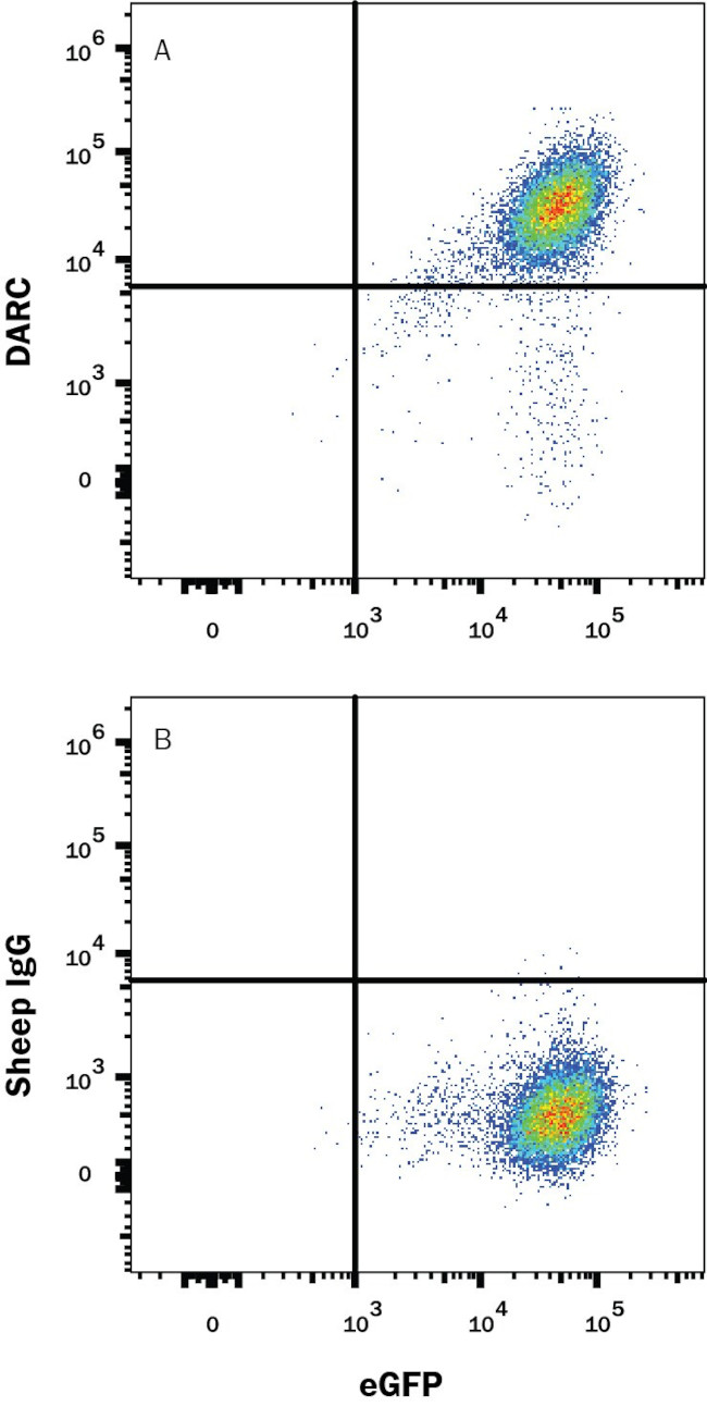 DARC Antibody in Flow Cytometry (Flow)