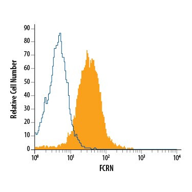 FCGRT Antibody in Flow Cytometry (Flow)