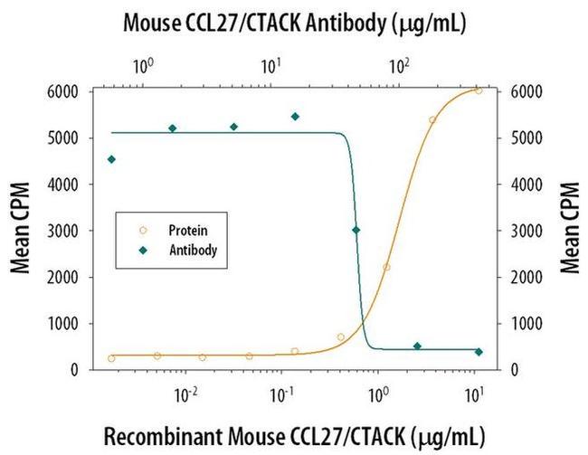 CCL27 Antibody