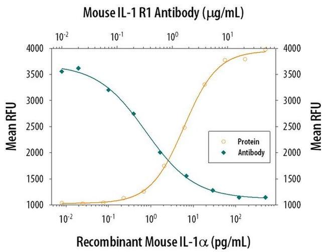 IL1R1 Antibody