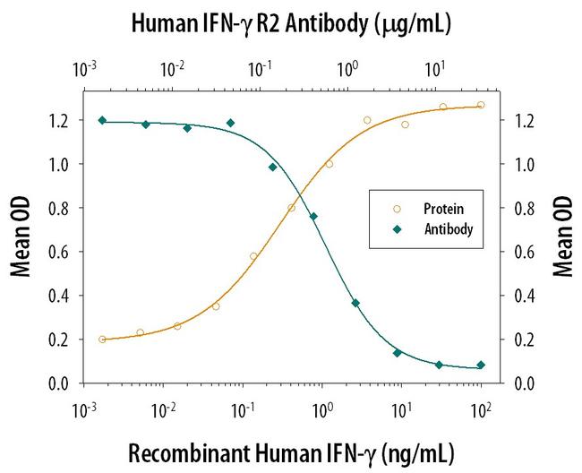 IFNGR2 Antibody in Neutralization (Neu)