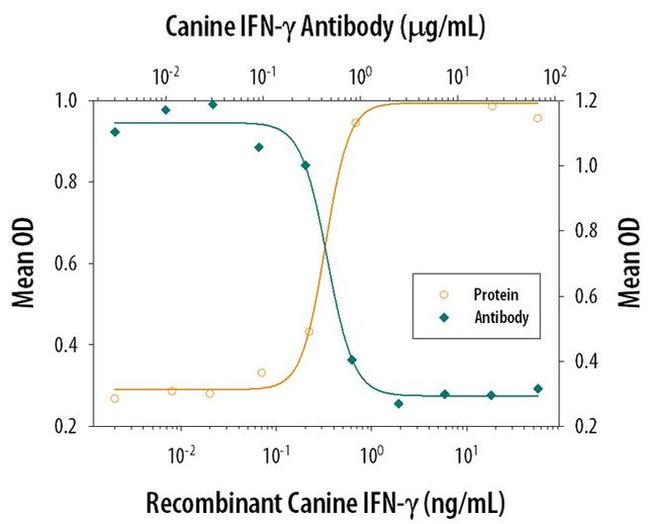 IFN gamma Antibody