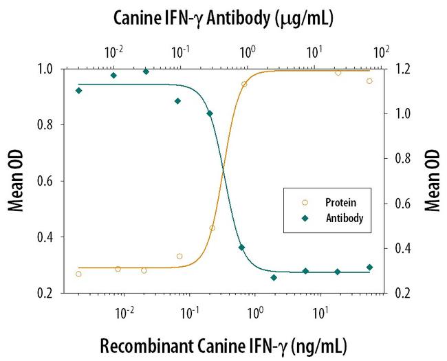 IFN gamma Antibody in Neutralization (Neu)