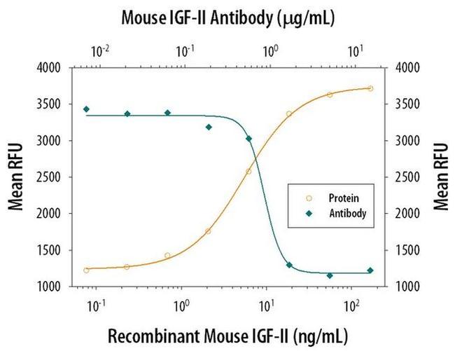 IGF2 Antibody