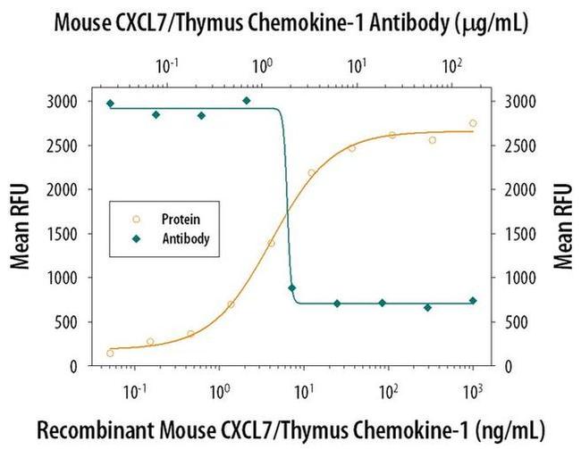 PPBP Antibody