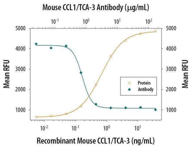 CCL1 Antibody