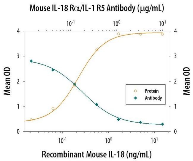 IL18R1 Antibody