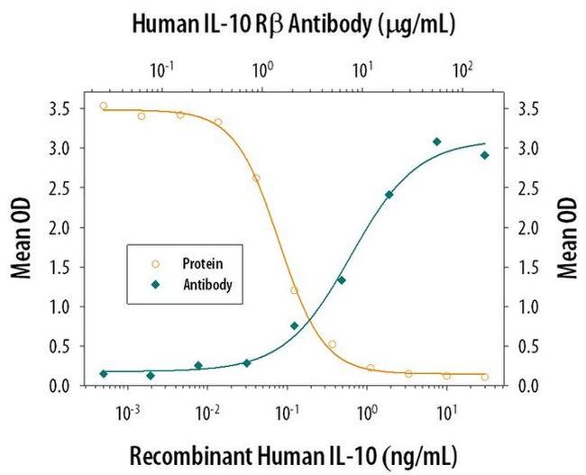 MIP-3 beta Antibody