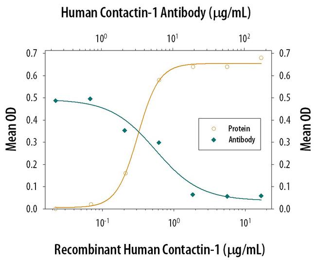 Contactin 1 Antibody in Neutralization (Neu)