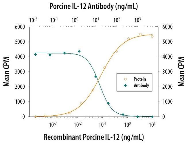 IL-12 p70 Antibody