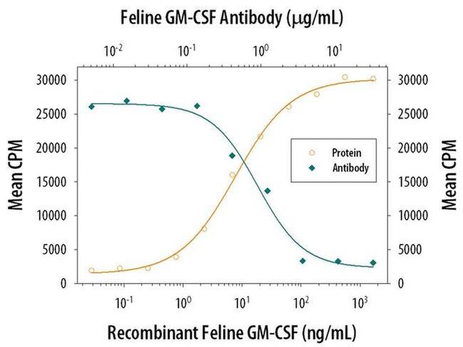 GM-CSF Antibody