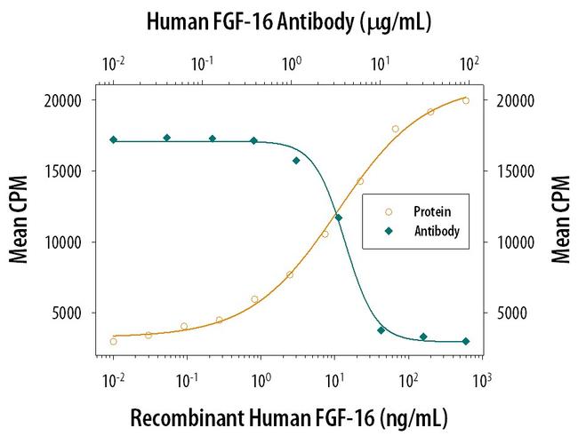 FGF16 Antibody in Neutralization (Neu)