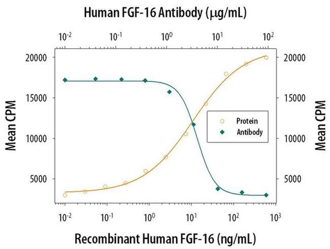 FGF16 Antibody