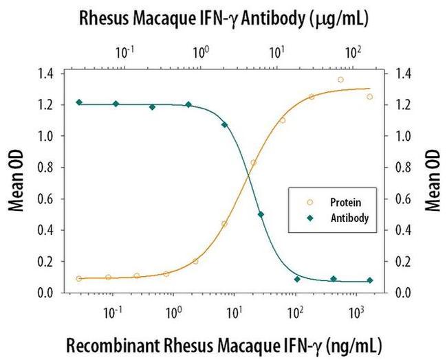 GM-CSF Antibody