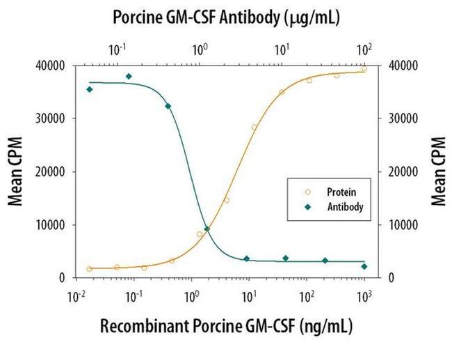 IFN gamma Antibody