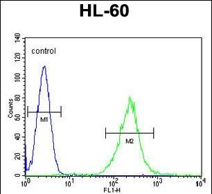 ECAT1 Antibody in Flow Cytometry (Flow)