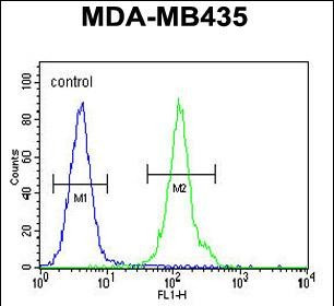 OR2L13 Antibody in Flow Cytometry (Flow)