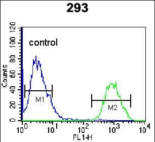 HOPX Antibody in Flow Cytometry (Flow)