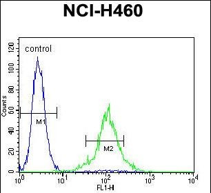 TMEM100 Antibody in Flow Cytometry (Flow)