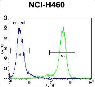 GAS1 Antibody in Flow Cytometry (Flow)