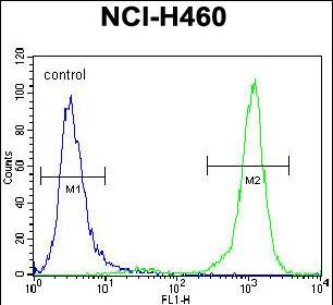 PCDHA9 Antibody in Flow Cytometry (Flow)