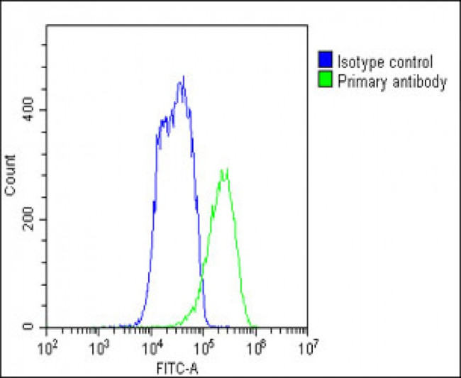 FADS2 Antibody in Flow Cytometry (Flow)