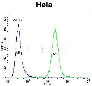 POLR1B Antibody in Flow Cytometry (Flow)