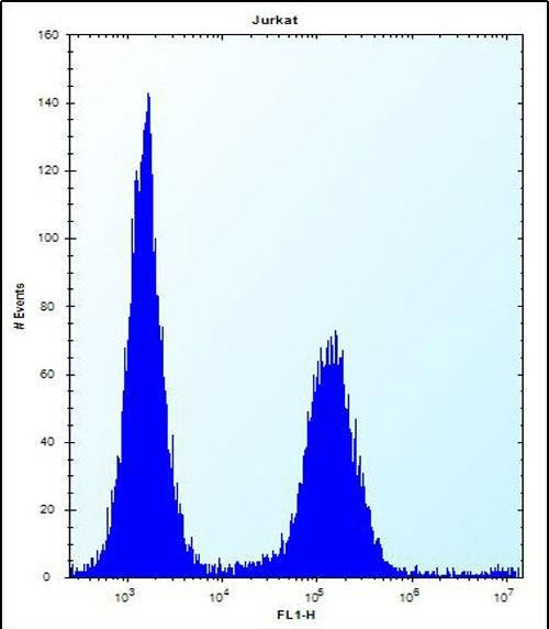 ENOX2 Antibody in Flow Cytometry (Flow)