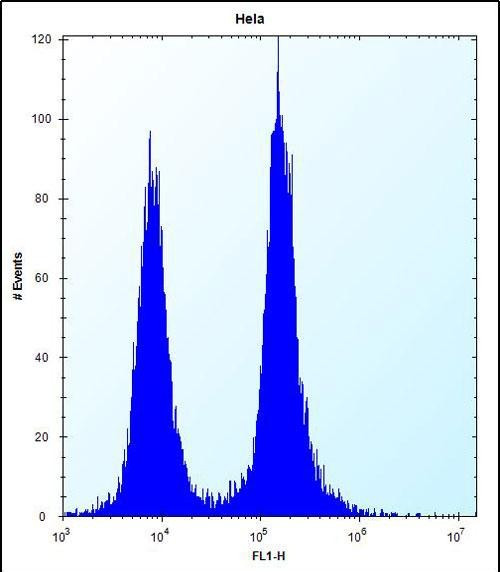 DEFB112 Antibody in Flow Cytometry (Flow)