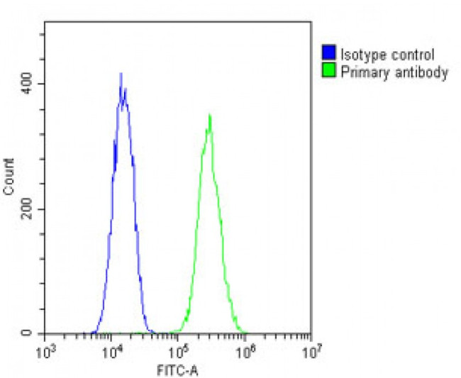 Nkx2.5 Antibody in Flow Cytometry (Flow)