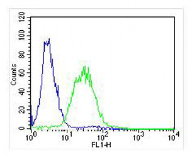 Adenylate Kinase 2 Antibody in Flow Cytometry (Flow)