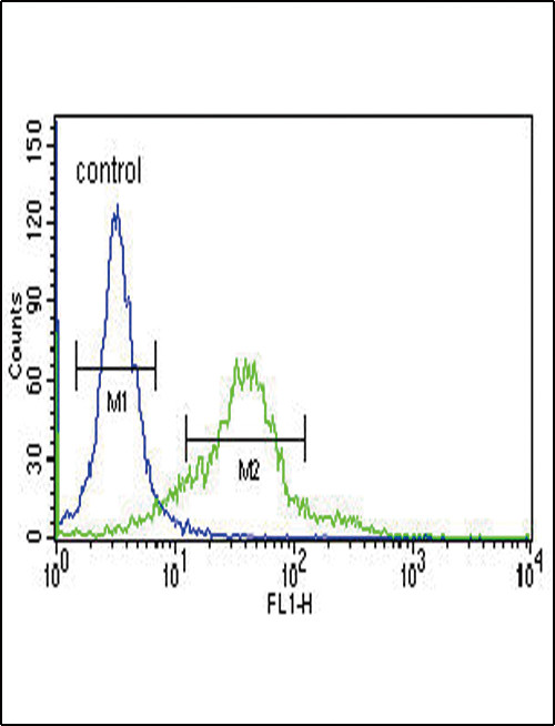 SESN2 Antibody in Flow Cytometry (Flow)