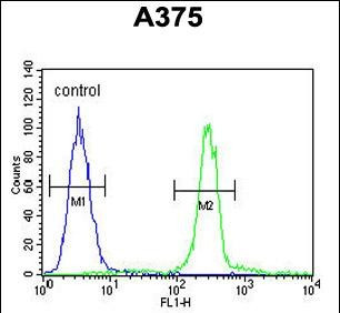 CTHRC1 Antibody in Flow Cytometry (Flow)