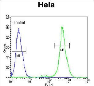 EBP Antibody in Flow Cytometry (Flow)