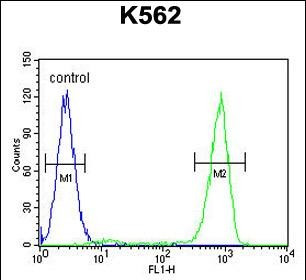 OC90 Antibody in Flow Cytometry (Flow)