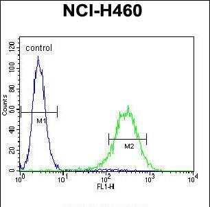 CD249 Antibody in Flow Cytometry (Flow)