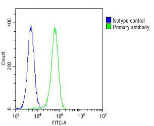 ASM Antibody in Flow Cytometry (Flow)