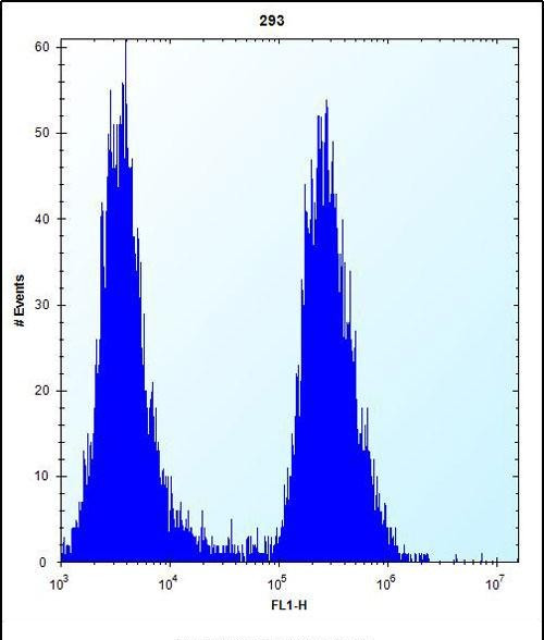 eIF2b alpha Antibody in Flow Cytometry (Flow)