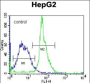 KRTAP1-3 Antibody in Flow Cytometry (Flow)