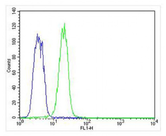 Cytokeratin 12 Antibody in Flow Cytometry (Flow)