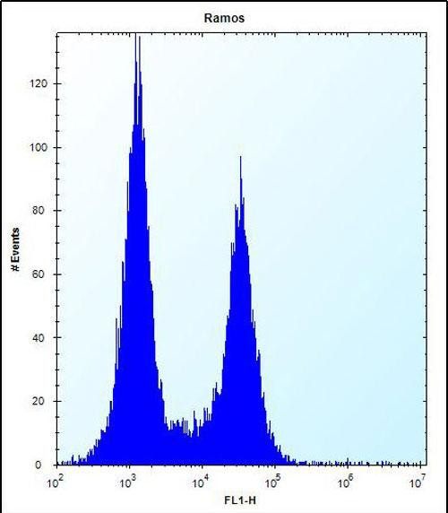 Ubinuclein 2 Antibody in Flow Cytometry (Flow)