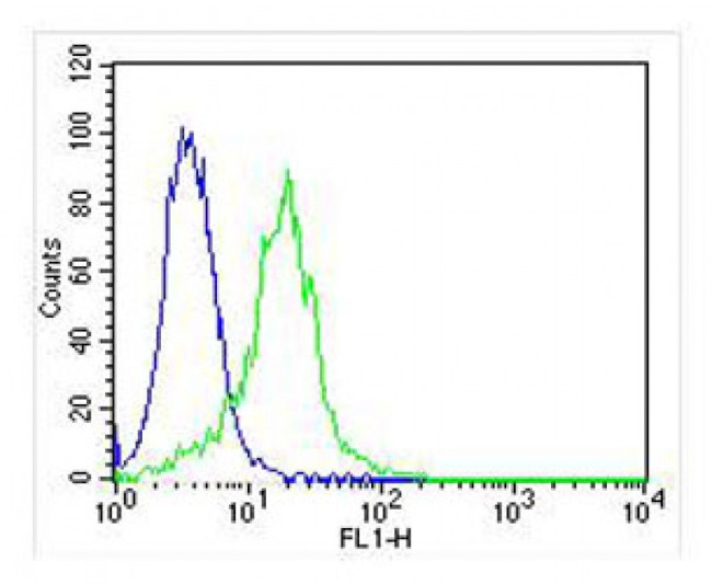 LPL Antibody in Flow Cytometry (Flow)