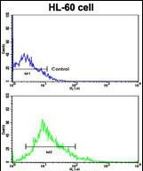 LIN28B Antibody in Flow Cytometry (Flow)