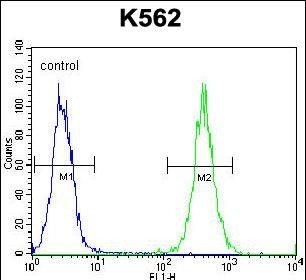 AGO2 Antibody in Flow Cytometry (Flow)