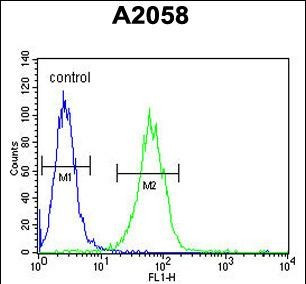 SOX4 Antibody in Flow Cytometry (Flow)