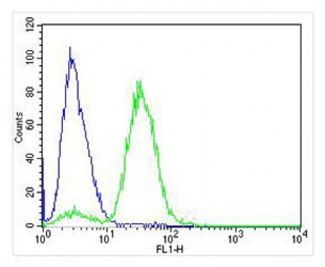 AVPR2 Antibody in Flow Cytometry (Flow)