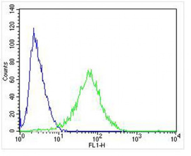 NPY2R Antibody in Flow Cytometry (Flow)