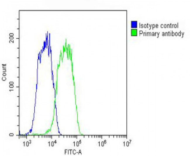 ENT2 Antibody in Flow Cytometry (Flow)