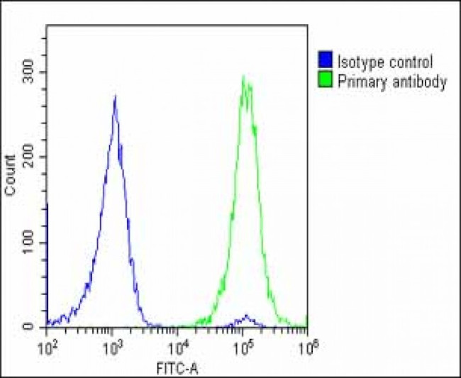 GLUT3 Antibody in Flow Cytometry (Flow)